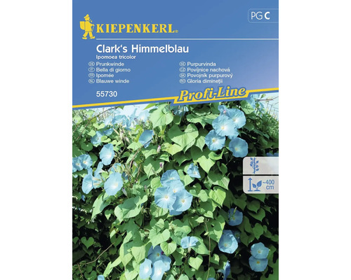 Blumensamen Kiepenkerl Prunkwinde 'Clark's Himmelblau'