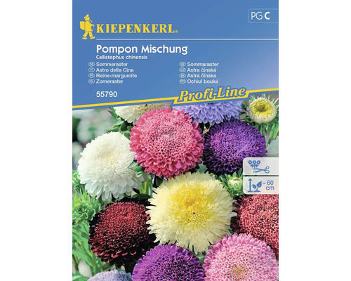 Blumensamen Kiepenkerl Sommeraster 'Pompon Mischung'