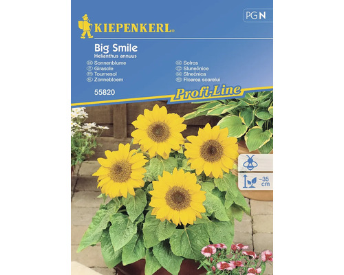 Blumensamen Kiepenkerl Sonnenblume 'Big Smile'