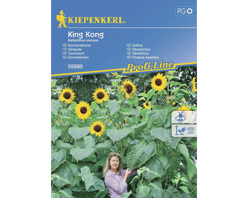 Blumensamen Kiepenkerl Sonnenblume 'King Kong'