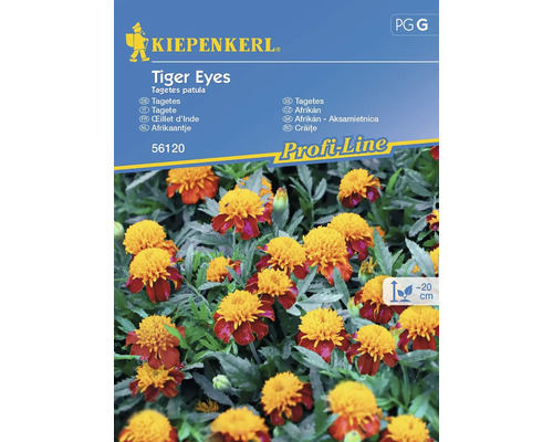 Blumensamen Kiepenkerl Mischung 'Tiger Eyes'