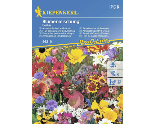 Blumenmischung Kiepenkerl 'Amerikanische Landblumen'