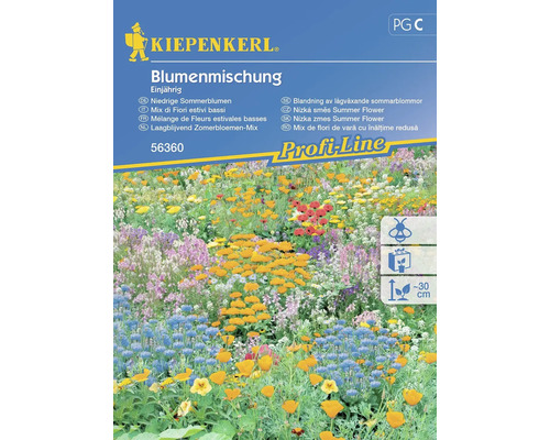 Blumenmischung Kiepenkerl 'Niedrige Sommerblumen'