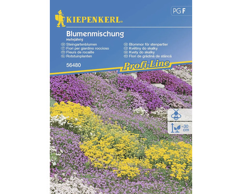 Blumenmischung Kiepenkerl 'Steingartenblumen'