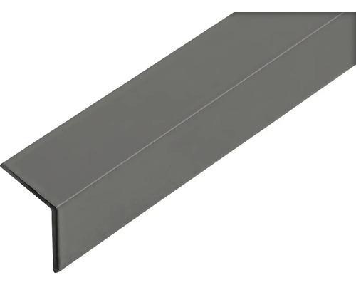 Winkelprofil Aluminium 1 m x 30 x 30 mm, grau