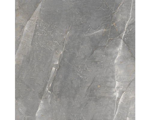 Graue Fliese mit Marmoroptik
