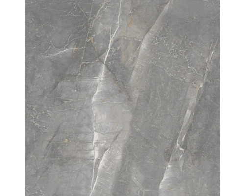 Graue Fliese mit Marmoroptik