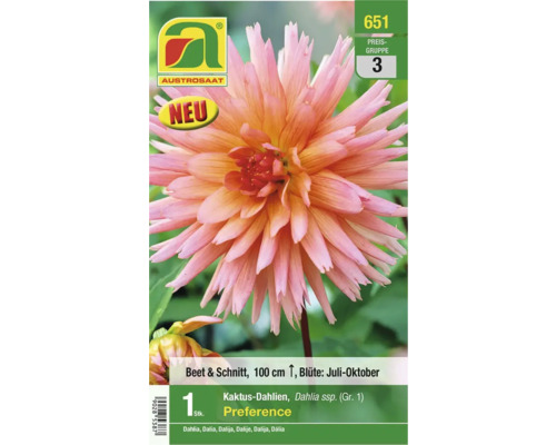 Blumenzwiebel Austrosaat Dahlie 'Preference' 1 Stk.