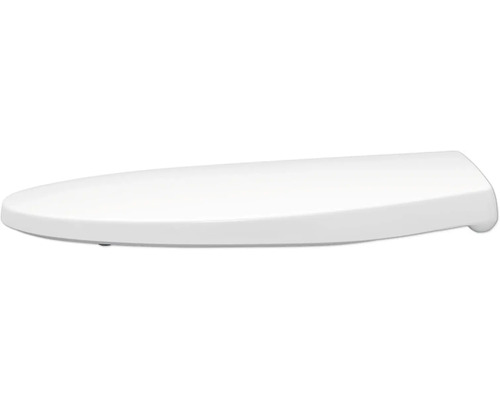 Toilettendeckel aus Kunststoff