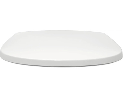 Toilettendeckel aus Kunststoff