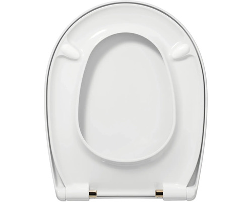 Toilettendeckel aus Kunststoff