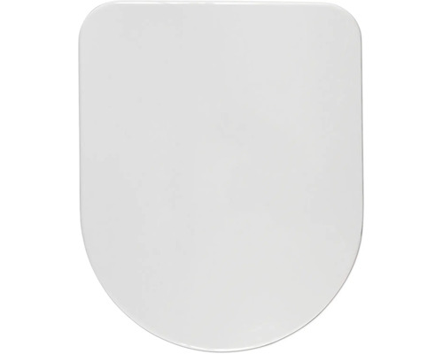 Toilettendeckel aus Kunststoff