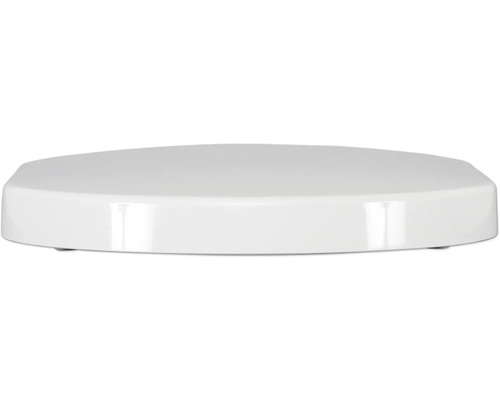 Toilettendeckel aus Kunststoff