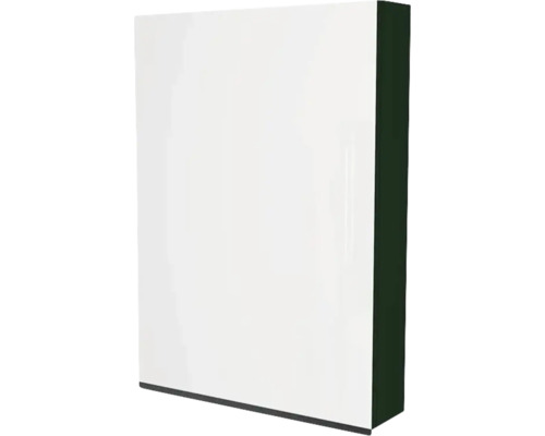 Spiegelschrank Devo Viva 2.0 1-türig 60x15x85 cm Anschlag links conifer green Weißer Hochschrank für Badezimmer