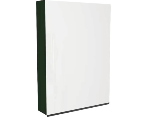 Spiegelschrank Devo Viva 2.0 1-türig 60x15x85 cm Anschlag rechts conifer green Weißer Badezimmerschrank