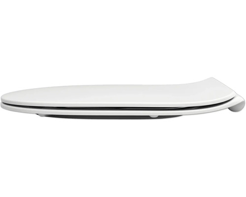 Toilettendeckel aus Kunststoff