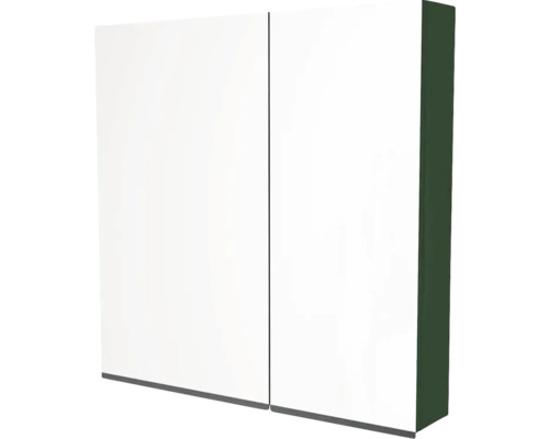 Spiegelschrank Devo Viva 2.0 2-türig 70x15x85 cm links conifer green