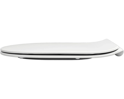 Toilettendeckel aus Kunststoff