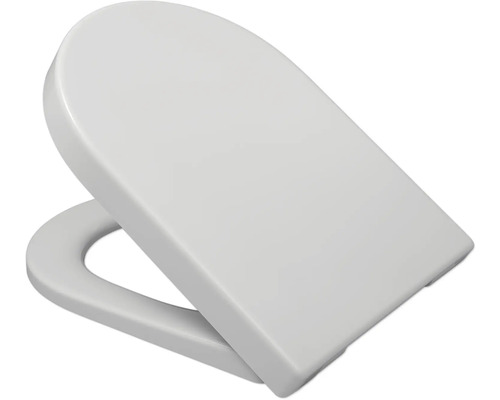 Toilettendeckel aus Kunststoff