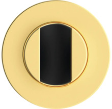 Brausehalter Jungborn Lambda gold matt