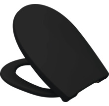 Toilettensitz in Schwarz