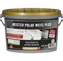 HORNBACH Meister Polarweiß Plus im Wunschfarbton mischen lassen-thumb-0