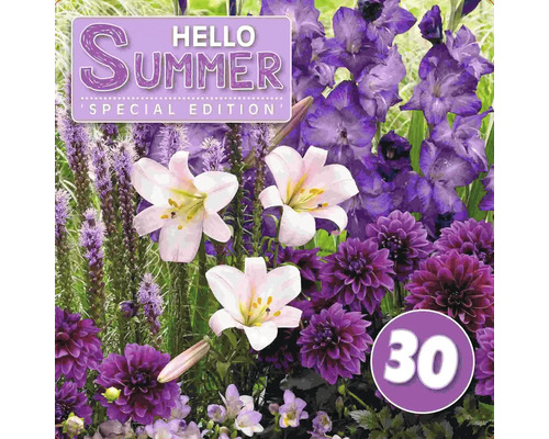 Blumenzwiebel-Mix Austrosaat 'Hello Summer! Purple' mit Gladiole, Dahlie & Lilie 30 Stk.