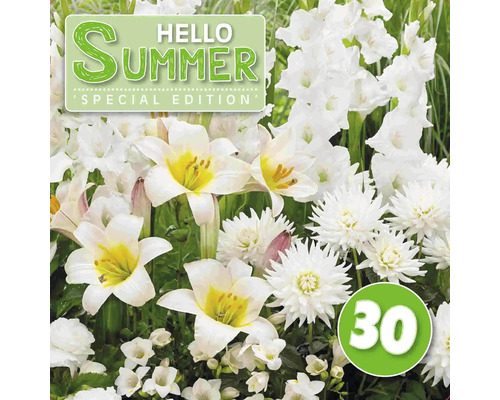 Blumenzwiebel-Mix Austrosaat 'Hello Summer! White' mit Gladiole, Lilie Dahlie & Freesie 30 Stk.