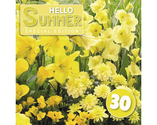 Blumenzwiebel-Mix Austrosaat 'Hello Summer! Yellow' mit Dahlie, Lilie, Gladiole & Freesie 30 Stk.