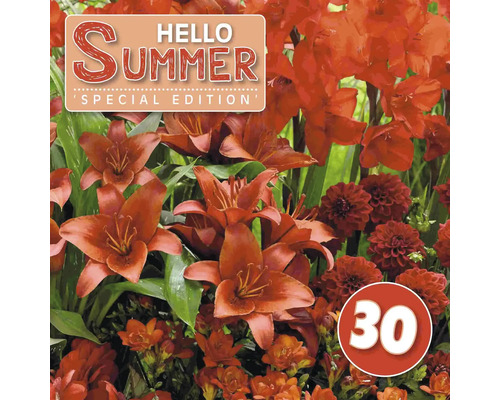 Blumenzwiebel-Mix Austrosaat 'Hello Summer! Red' mit Dahlie, Lilie, Gladiole & Freesie 30 Stk.