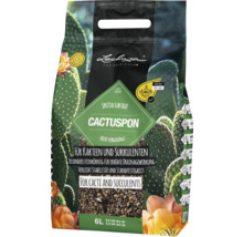 Lechuza Cactuspon Spezialsubstrat für Kakteen und Sukkulenten, 6 Liter