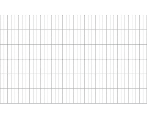 Doppelstabmatte ALBERTS Typ 6/5/6 200 x 120 cm feuerverzinkt