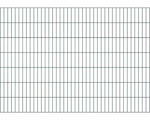 Doppelstabmatte ALBERTS Typ 6/5/6 200 x 140 cm grün