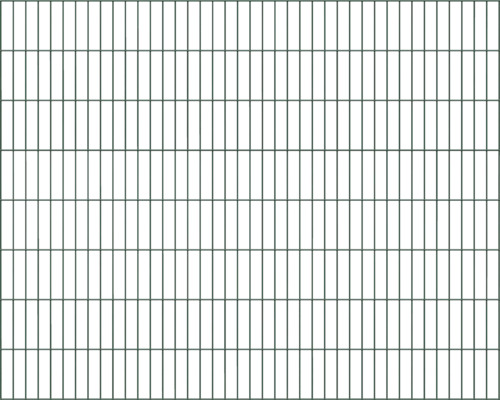 Doppelstabmatte ALBERTS Typ 6/5/6 200 x 160 cm grün