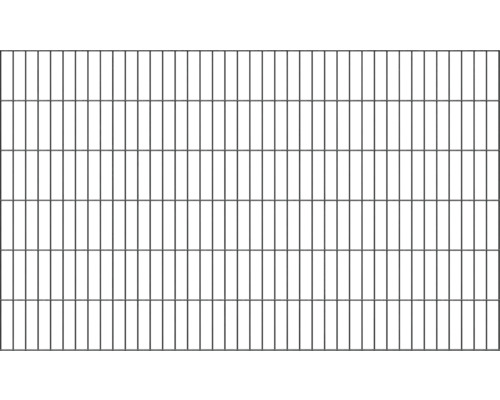 Doppelstabmatte ALBERTS Typ 6/5/6 200 x 120 cm anthrazit