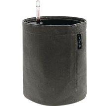 Blumentopf mit Feuchtigkeitsanzeige