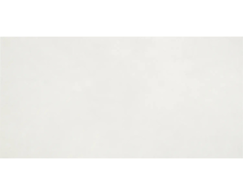 Steingut Wandfliese Malon 59,8x29,8 cm grau