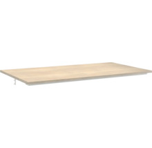 Regalboden mit Regalträger