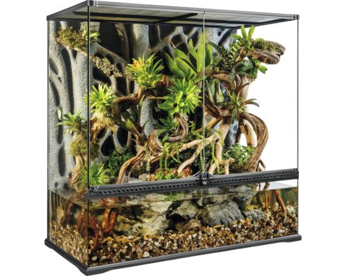 Eingerichtetes Glasterrarium mit Pflanzen, Steinen, Wasser und Rückwand