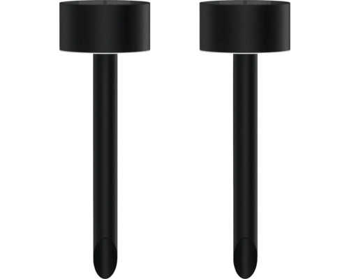 Zwei schwarze Erdspießleuchten