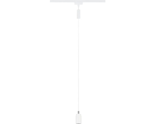 Pendelleuchte mit Fassung und Aufhängung