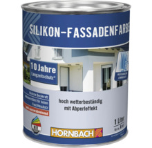 Silikon Fassadenfarbe im Farbeimer