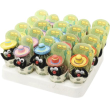 Display mit kleinen Kakteen mit Sombrero und Augen