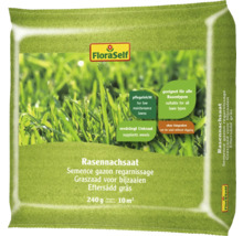 FloraSelf Rasennachsaat 240 Gramm für 10 Quadratmeter
