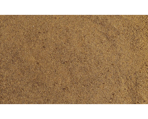 Sand im Detail
