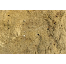 Nahaufnahme einer Sandsteinplatte mit kleinen Löchern