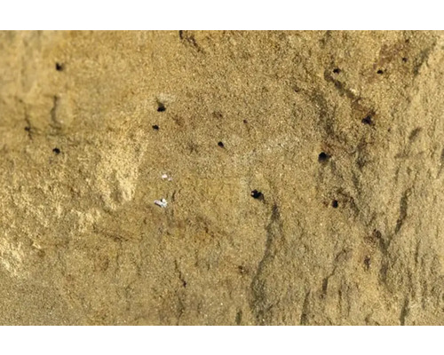 Nahaufnahme einer Sandsteinplatte mit kleinen Löchern