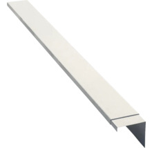 Dachrandprofil aus Metall