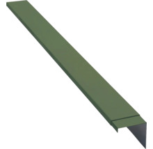 Traufbohle aus Metall