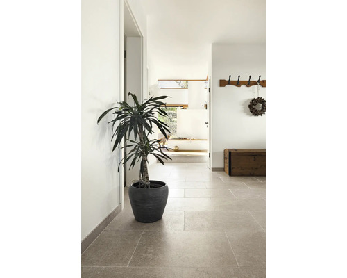 Flur mit Topfpflanze, Garderobe und Holztruhe